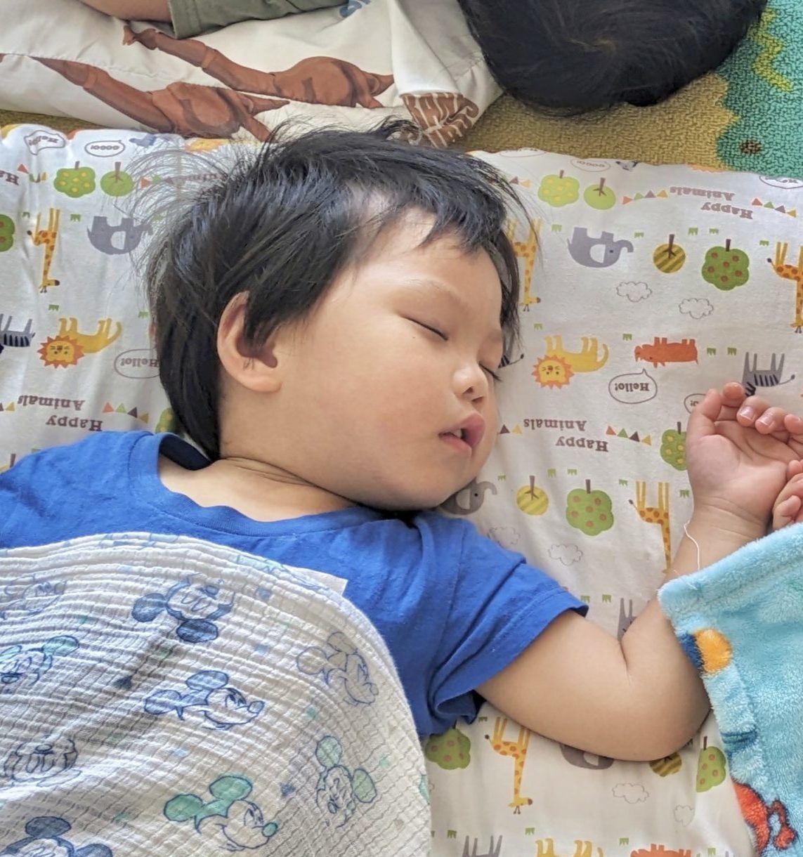 お昼寝しています