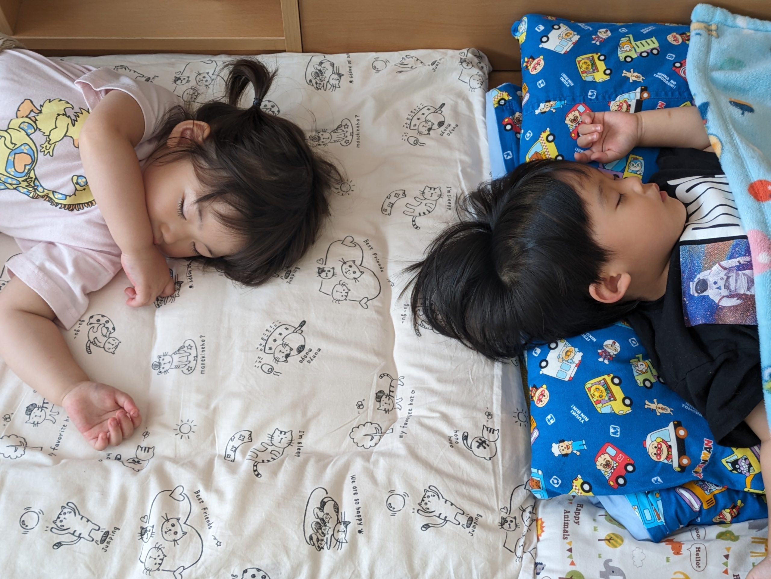 お昼寝の様子です。ぐっすり眠っています。